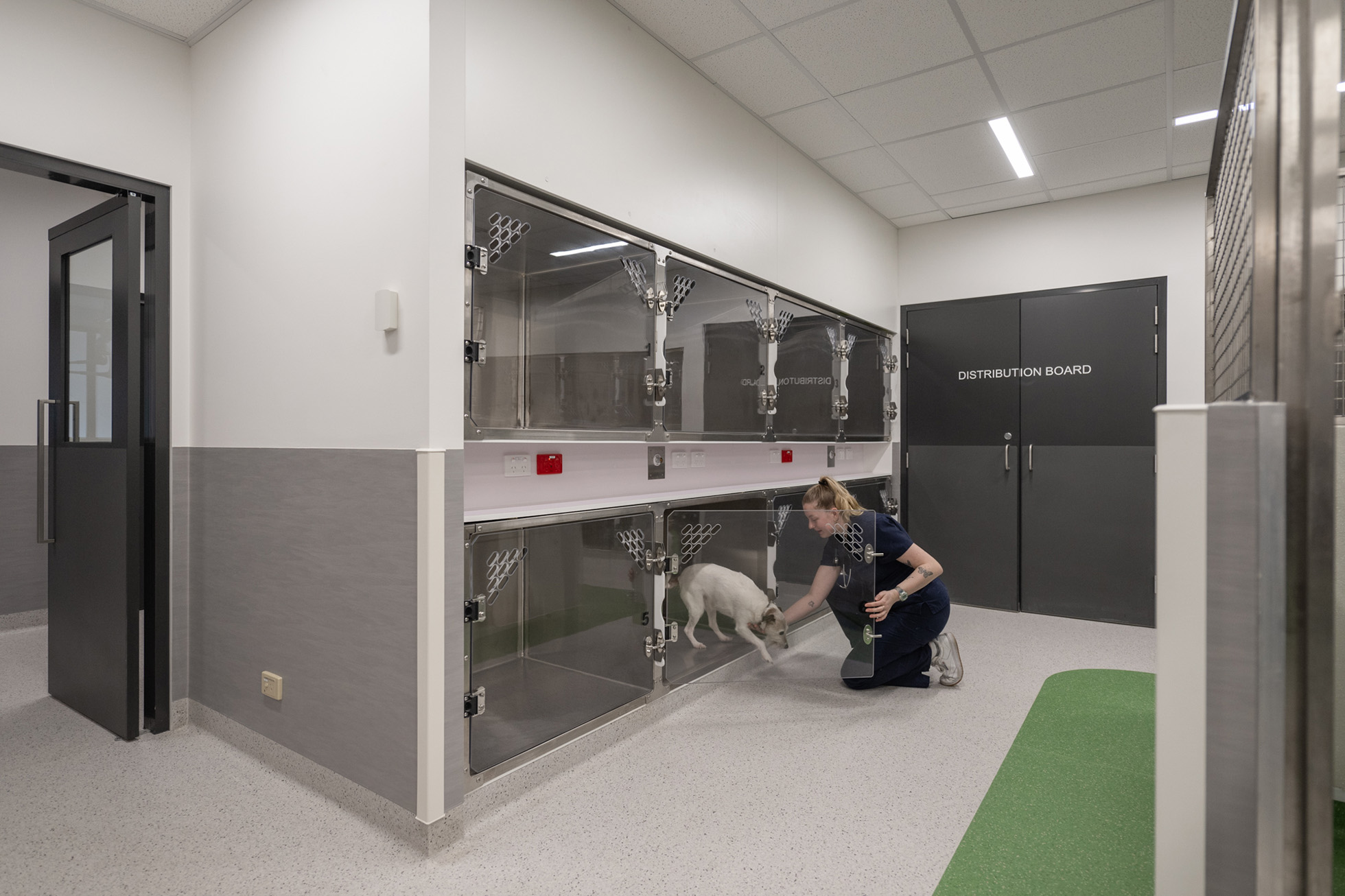 Lort Smith Animal Hospital North Melbourne Stage 1 Bldg Eng