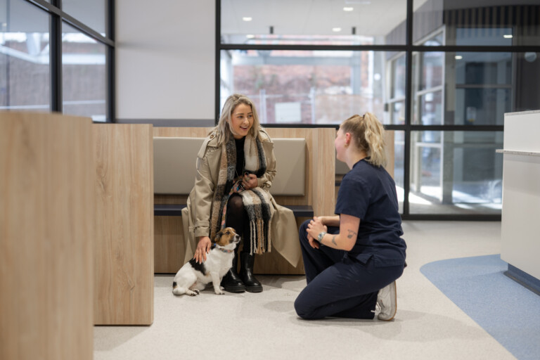Lort Smith Animal Hospital in North Melbourne reaches milestone with completion of Stage 1